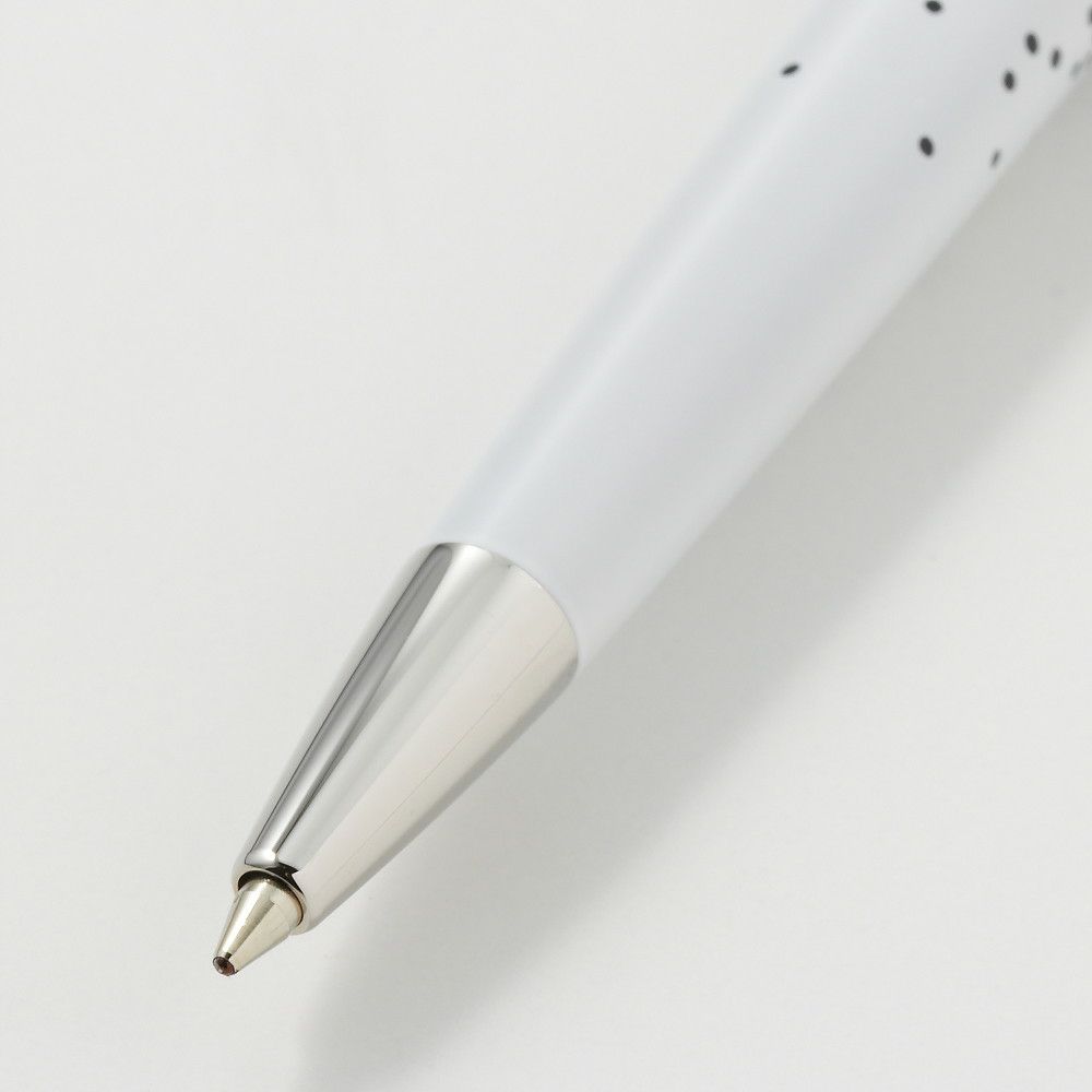 ウォーターマン WATERMAN ボールペン オンブル エ ルミエール メトロポリタンCT