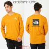 ノースフェイス メンズ 長袖Tシャツ 【RED BOX Tシャツ】 NF0A493L THE NORTH FACE