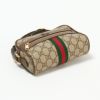 グッチ GUCCI ショルダーバッグ 【LINEA A：リネアA】 517350 96IWS ブラウン系(8745)