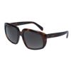 セリーヌ CELINE レディース サングラス CL40073I 53F 60 19 140 BLONDE HAVANA