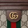 グッチ ショルダーバッグ 【OPHIDIA】 598127 96IWT ブラウン系(8745 B EB/N ACERO/VRV) GUCCI