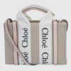 クロエ CHLOE 2WAYバッグ ミニトート WOODY CHC22AP237 I26 6J5 CEMENT PINK