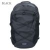 パタゴニア PATAGONIA リュックサック バックパック テラヴィア・パック 22L 48906