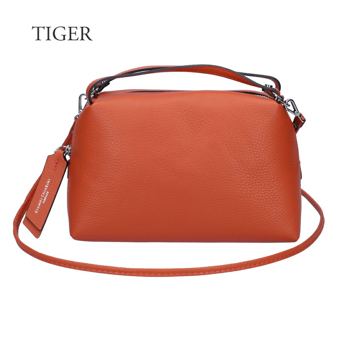 ジャンニキアリーニ GIANNI CHIARINI 2WAYバッグ ALIFA M アリファ M BS8148 GRN