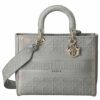 【予約会対象品】 ディオール DIOR トートバッグ M0566OREY M950 M950 グレー 【お取り寄せ】