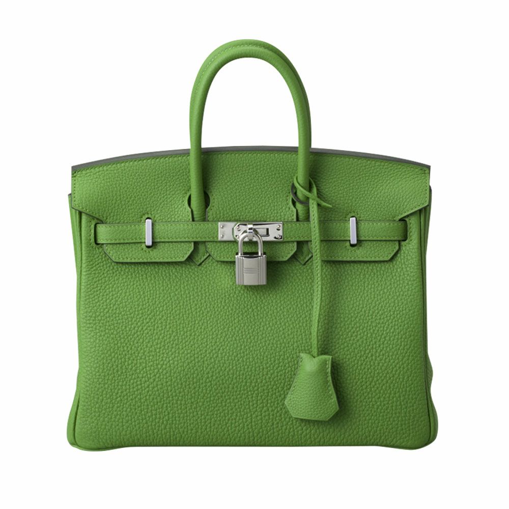 【予約会対象品】 エルメス HERMES ハンドバッグ バーキン25 トゴ ヴェールユッカ SV 【お取り寄せ】