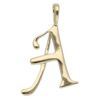 【予約会対象品】 ジュエリー JEWELRY ペンダントトップ 地金 ゴールド K18イエローゴールド ペンダントトップ イニシャル 【お取り寄せ】