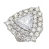 【予約会対象品】 ハイジュエリー HIGH　JEWELRY 希少リング ダイヤモンド 透明 プラチナ/ダイヤモンド リング 【お取り寄せ】