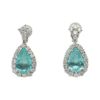 【予約会対象品】 ハイジュエリー HIGH　JEWELRY 希少イヤリング パライバトルマリン ブルー プラチナ/パライバトルマリン イヤリング 【お取り寄せ】