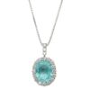 【予約会対象品】 ハイジュエリー HIGH　JEWELRY 希少ネックレス パライバトルマリン ブルー プラチナ/パライバトルマリン ネックレス 【お取り寄せ】