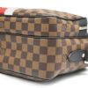 【予約会対象品】 【リユース品】 ルイヴィトン LOUIS VUITTON ショルダーバッグ ナイルPM ジェイク アンド ディノスチャップマン N42704 ブラウン 【お取り寄せ】