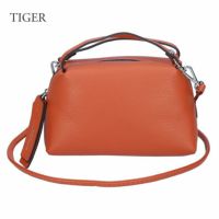 ジャンニキアリーニ GIANNI CHIARINI ジャンニキャリーニ 2WAYバッグ GRN ALIFA S アリファ S BS8145 12594 TIGER